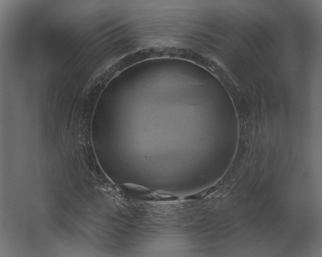 X0000067840919200604201237