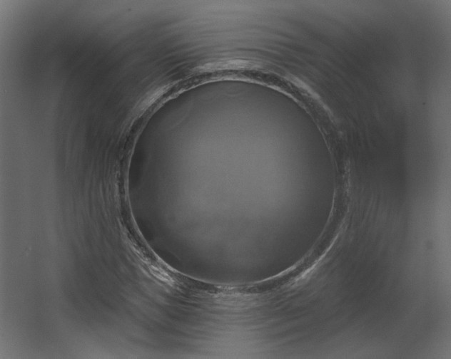 X0000067840921200604201237