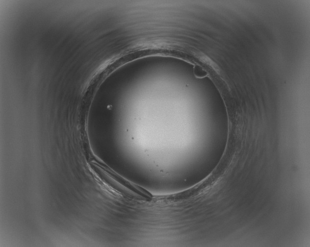 X0000067840922200604201237