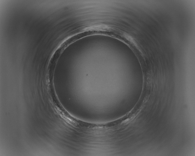 X0000067840923200604201237