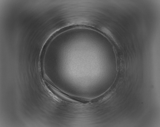 X0000067840924200604201237