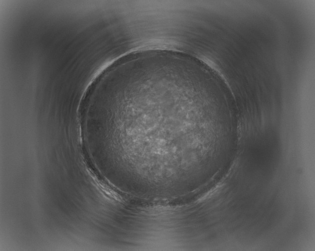 X0000067840925200604201237