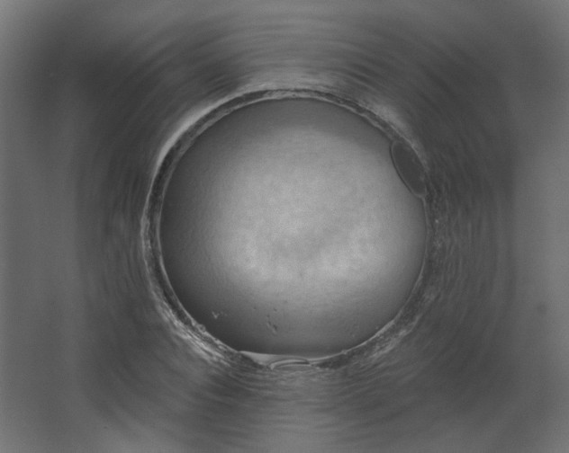 X0000067840928200604201237