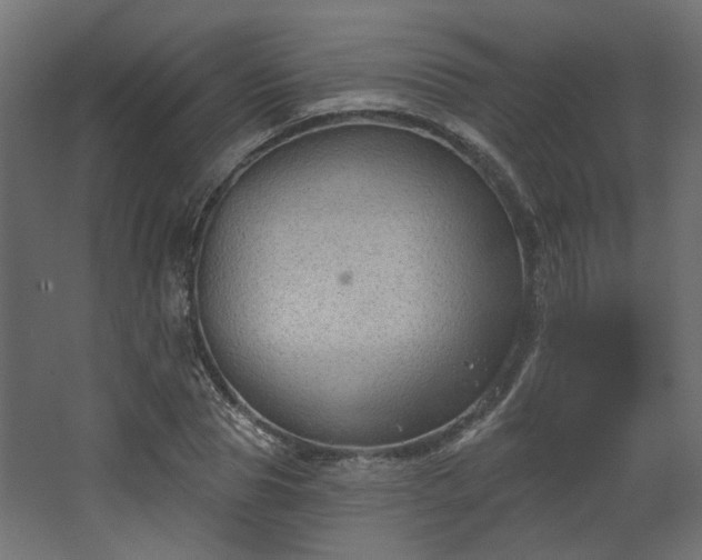 X0000067840929200604201238