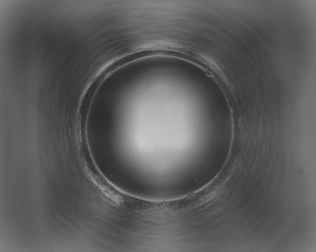 X0000067840931200604201238