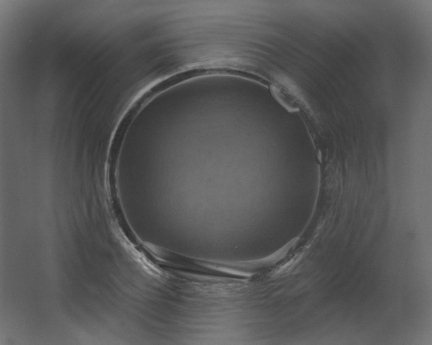 X0000067840932200604201238