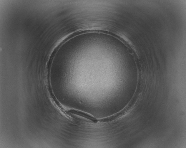 X0000067840933200604201238