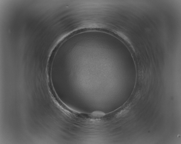 X0000067840935200604201238