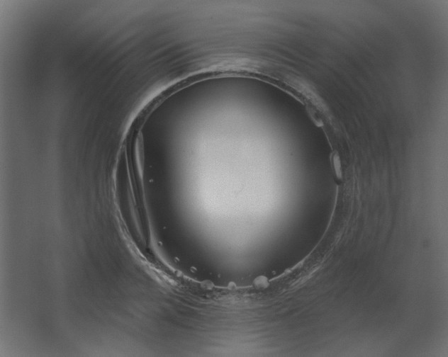 X0000067840936200604201238