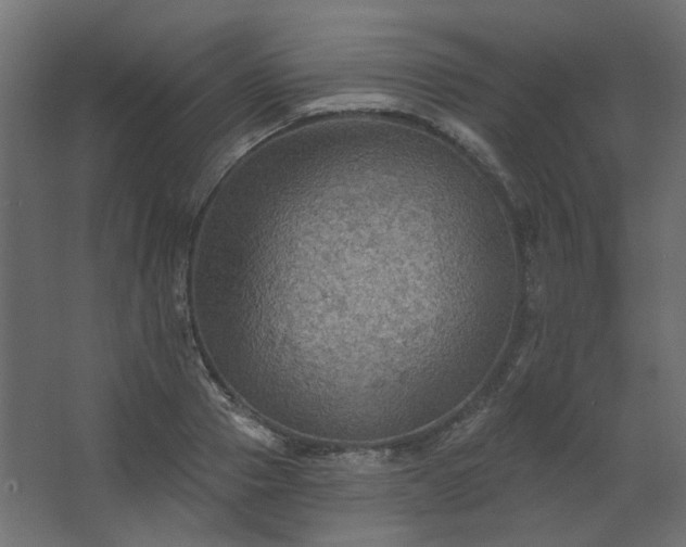 X0000067840937200604201238