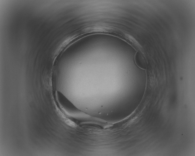 X0000067840938200604201238