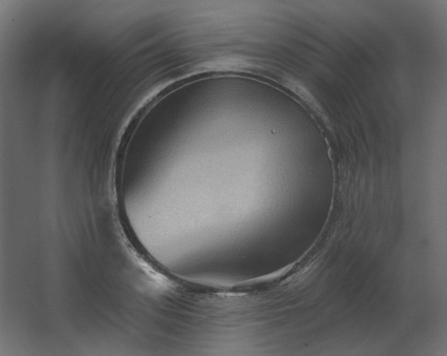 X0000067840939200604201238