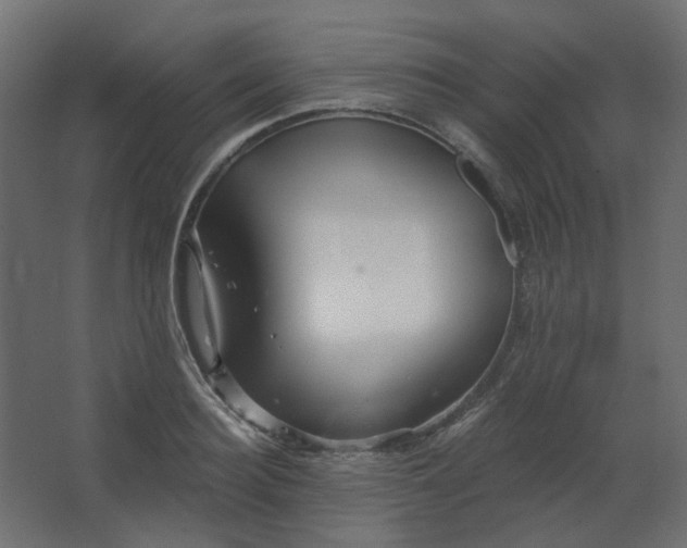 X0000067840940200604201238