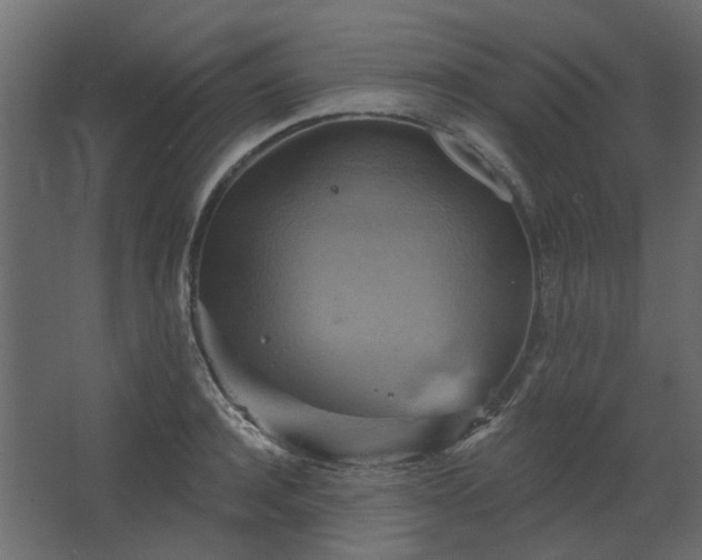 X0000067840944200604201238