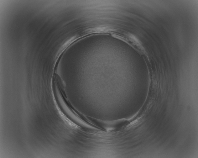 X0000067840946200604201238