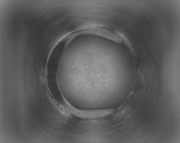 X0000067840948200604201238