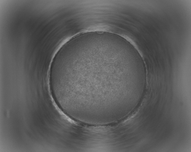 X0000067840949200604201238