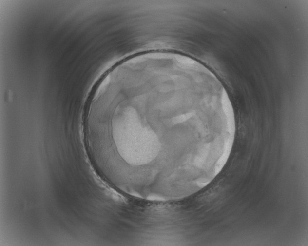 X0000067840950200604201238