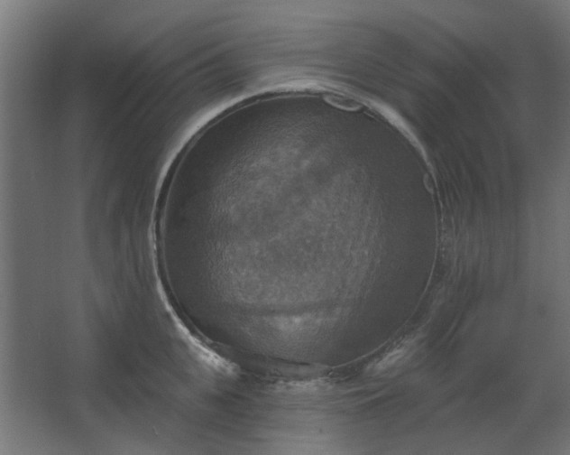 X0000067840951200604201238