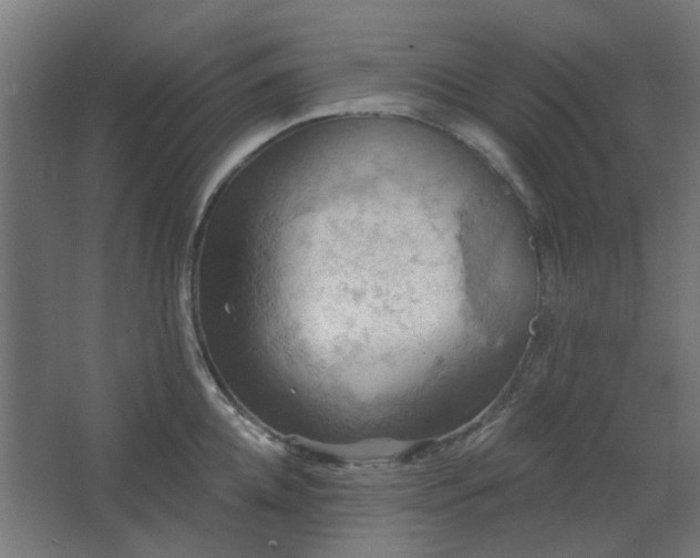 X0000067840952200604201238