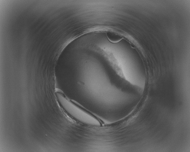 X0000067840953200604201238