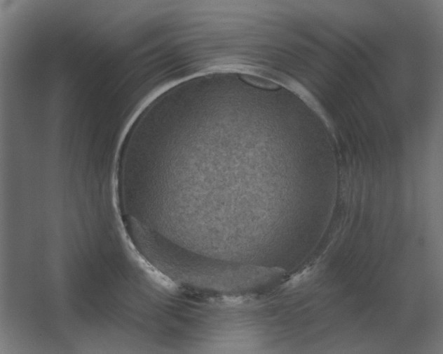 X0000067840955200604201238