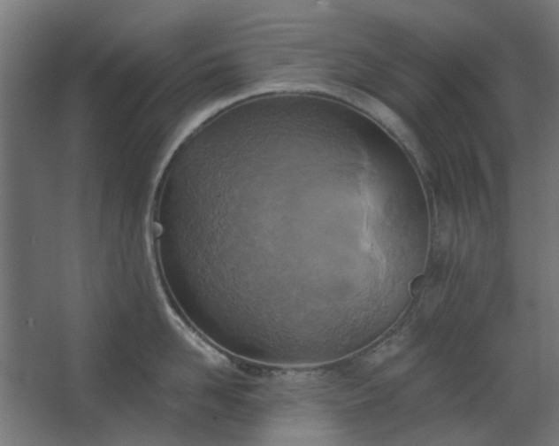 X0000067840958200604201238