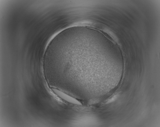 X0000067840960200604201238