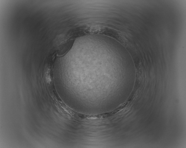 X0000067840962200604201237