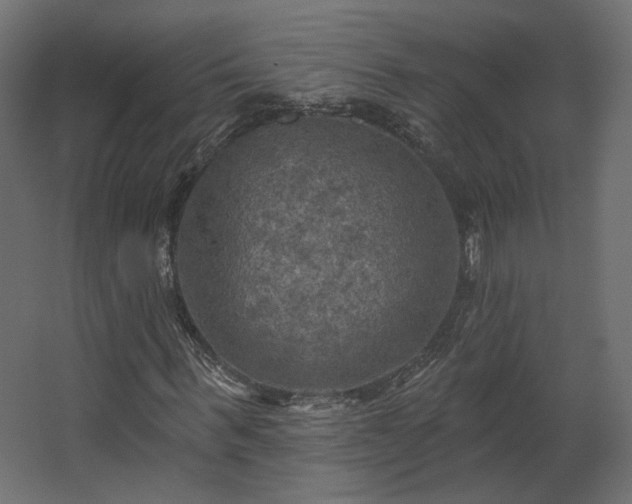 X0000067840963200604201237