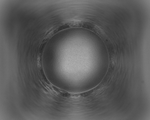 X0000067840964200604201237