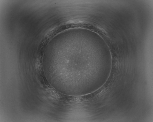 X0000067840966200604201237