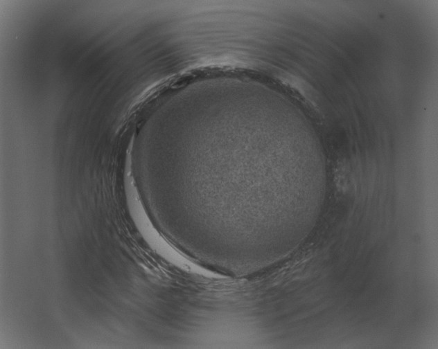 X0000067840968200604201237