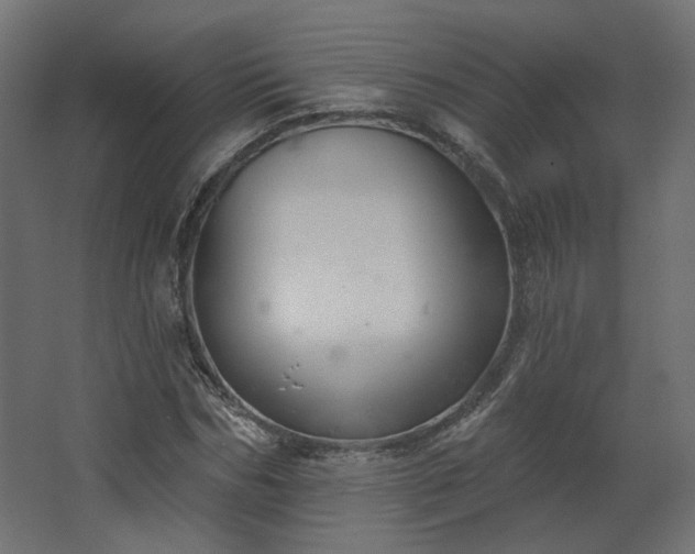 X0000067840970200604201237