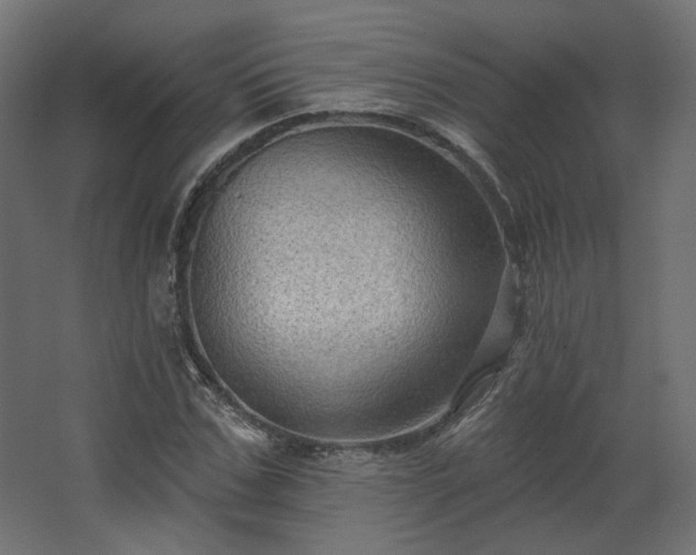 X0000067840971200604201237