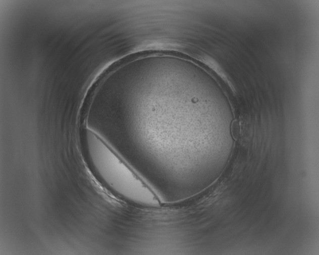 X0000067840972200604201237