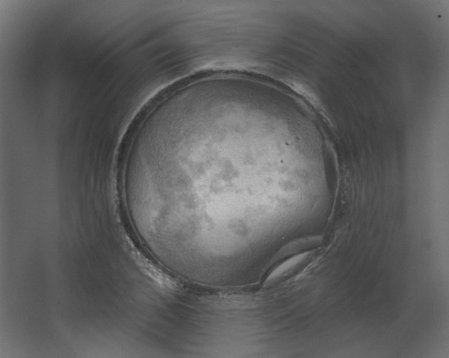 X0000067840976200604201237