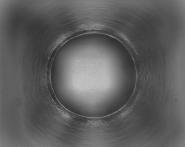 X0000067840978200604201237