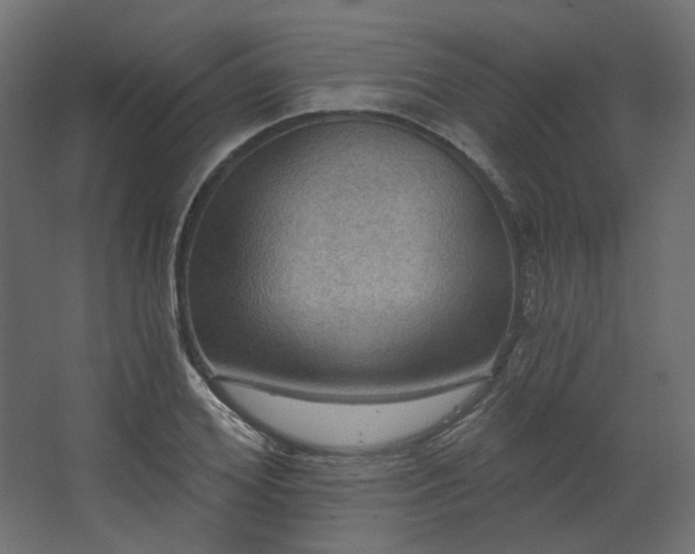 X0000067840980200604201237