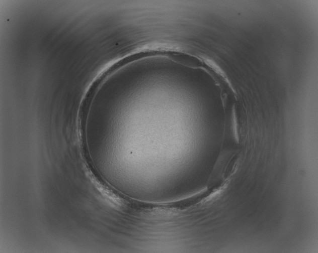 X0000067840981200604201237