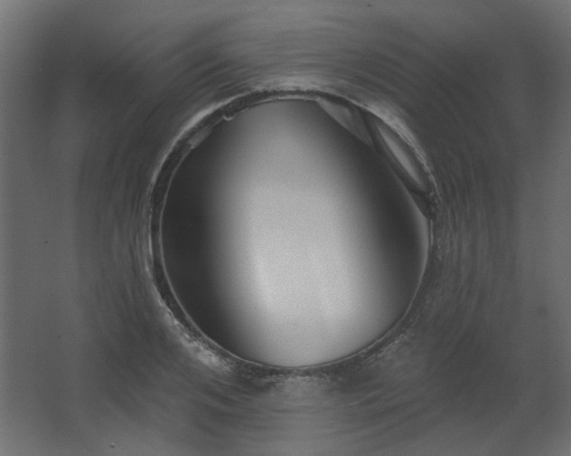 X0000067840984200604201237