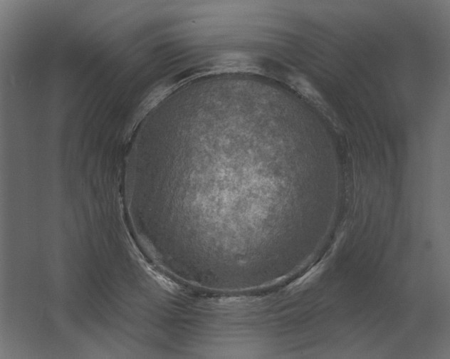 X0000067840985200604201237