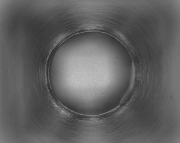 X0000067840986200604201237