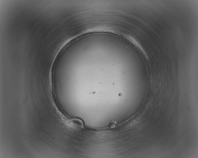 X0000067840988200604201237