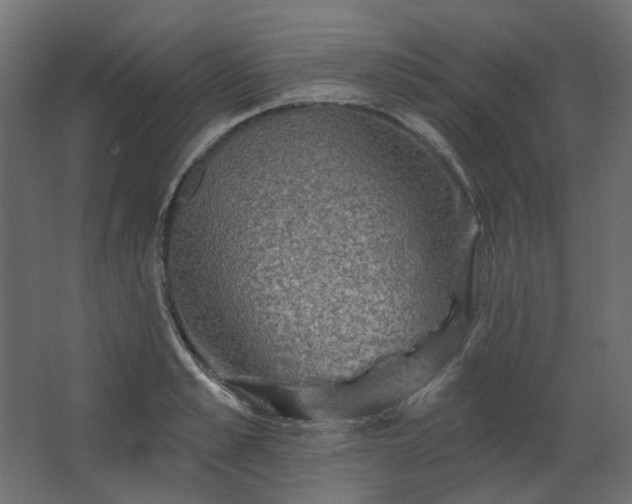 X0000067840989200604201237