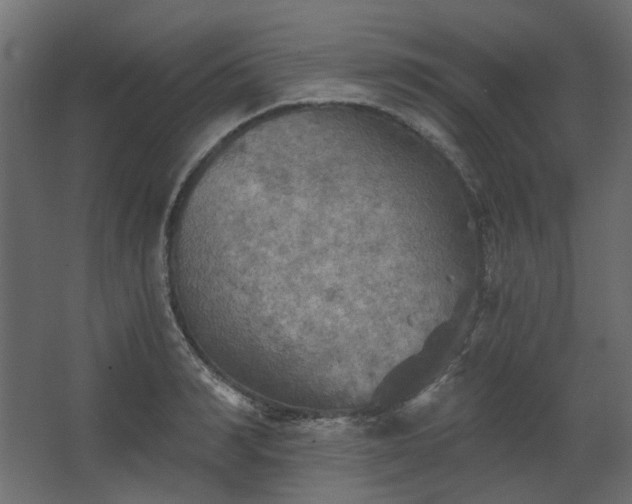 X0000067840990200604201237