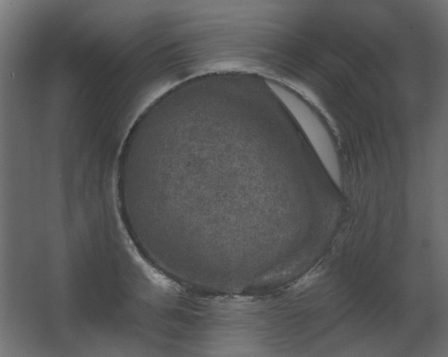 X0000067840991200604201237