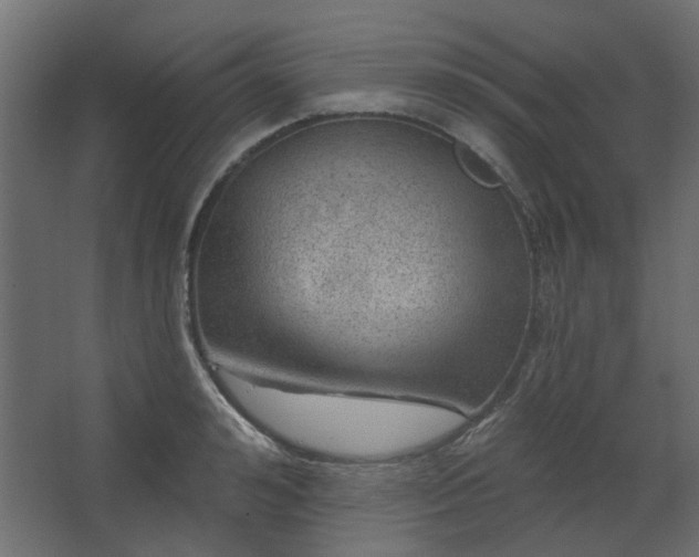 X0000067840992200604201237