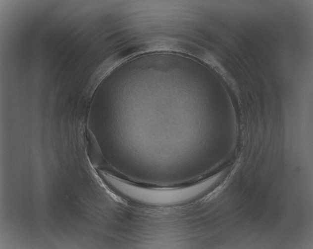 X0000067840993200604201237