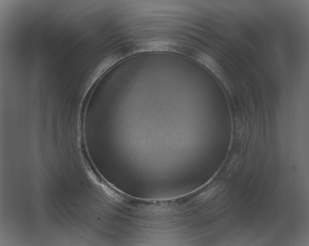 X0000067840994200604201237